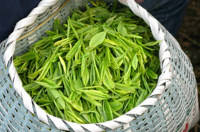 茶葉農(nóng)藥殘留檢測(cè)